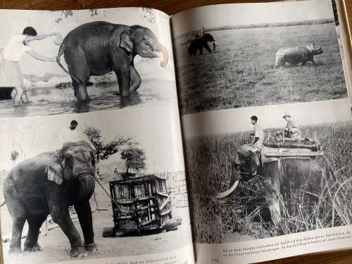Im Dschungel der Panzernashörner vintage german 1962 , book language german,