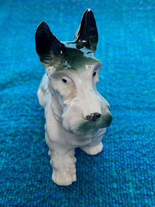 Porcelain dog (schnautzer / terrier) collectors item, vintage, approx. from the 70s/80s