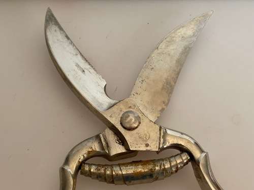Vintage rose shears ,pruning garden shears iron, rare, collectors item from Germany