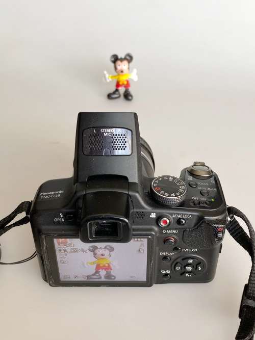 PANASONIC LUMIX FZ38 12 MIO Pixel, Leica 18x optical Zoom, Digital Camera 28mm-504mm(35mm equiv)