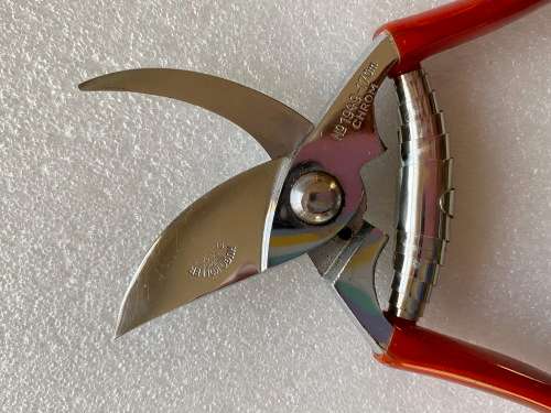 Hugo Köller, Solingen, Vintage pruning garden shears , rare, collectors item from Germany