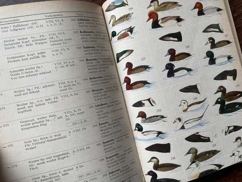 Was fliegt denn da? Kosmos Naturführer, Heinrich Frieling, 1966, 155+ pages, german, vintage, birds