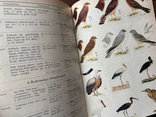 Was fliegt denn da? Kosmos Naturführer, Heinrich Frieling, 1966, 155+ pages, german, vintage, birds