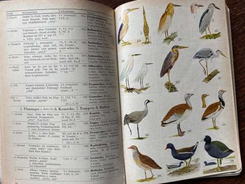 Was fliegt denn da? Kosmos Naturführer, Heinrich Frieling, 1966, 155+ pages, german, vintage, birds