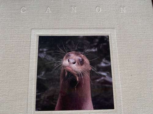 CANON Photobook, Wildlife as Canon sees it. 1988, National Geographic , Photographer Selection, rare
