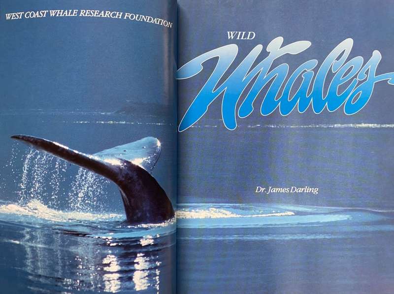 Wild Whales ,Dr. James Darling, Gregory Peck, in english,vintage,book, softcover, 1987
