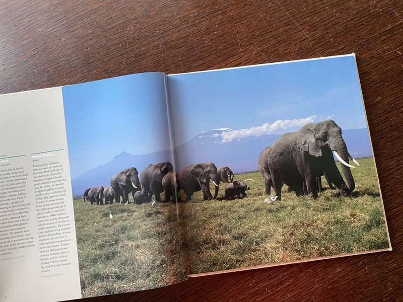 CANON Photobook, Wildlife as Canon sees it. 1988, National Geographic , Photographer Selection, rare