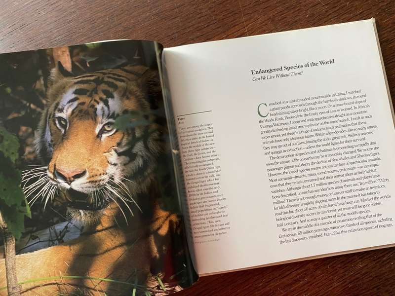 CANON Photobook, Wildlife as Canon sees it. 1988, National Geographic , Photographer Selection, rare