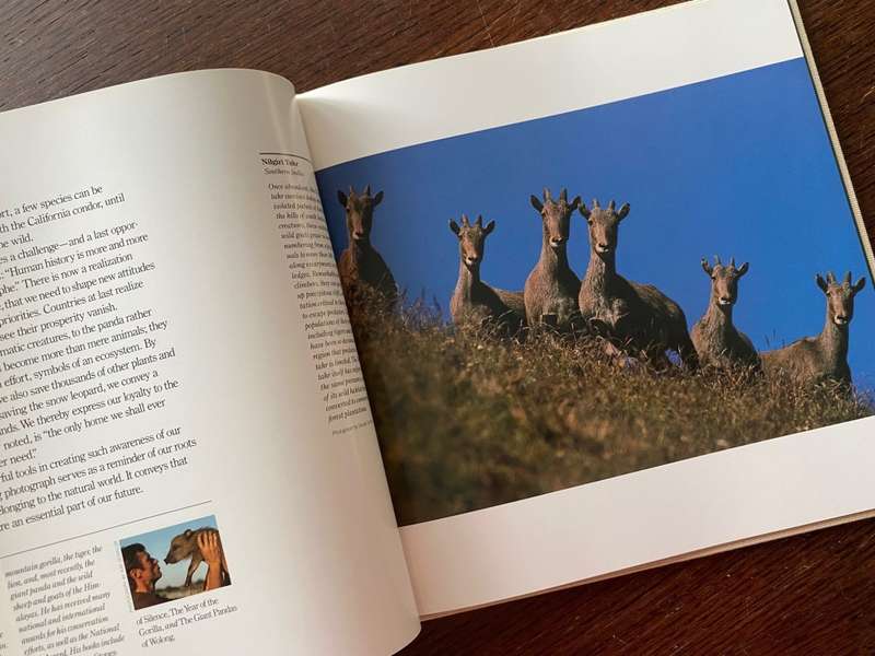 CANON Photobook, Wildlife as Canon sees it. 1988, National Geographic , Photographer Selection, rare