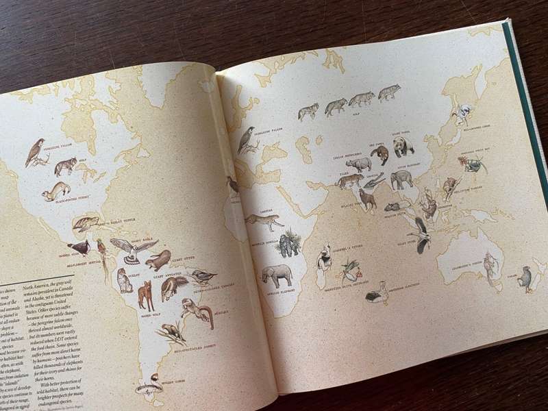 CANON Photobook, Wildlife as Canon sees it. 1988, National Geographic , Photographer Selection, rare