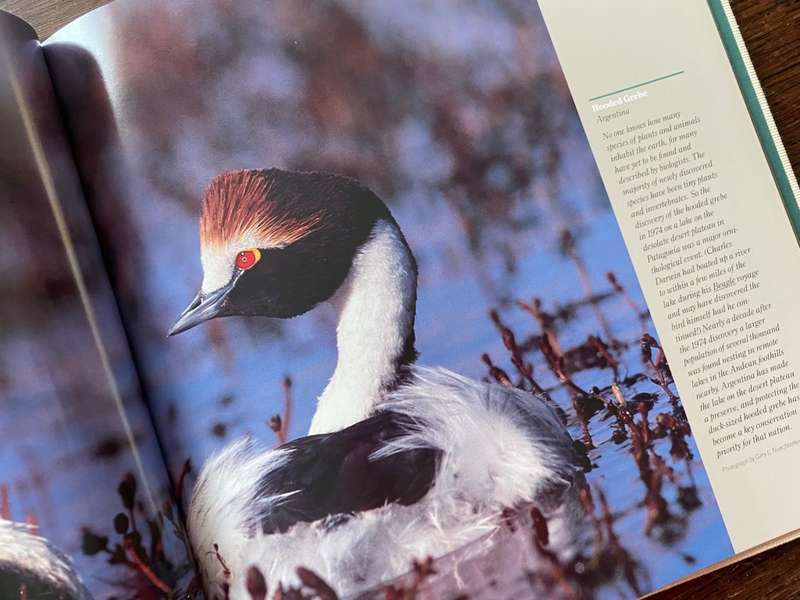CANON Photobook, Wildlife as Canon sees it. 1988, National Geographic , Photographer Selection, rare