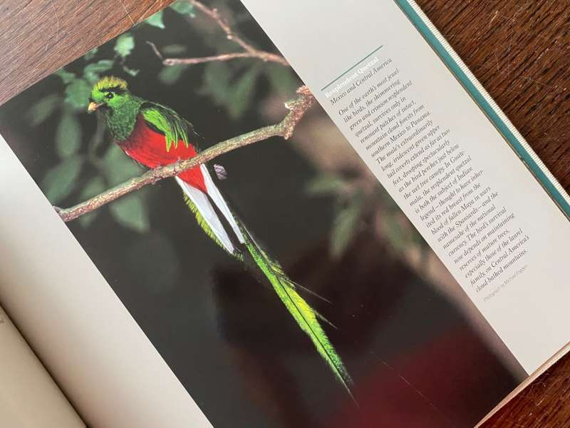 CANON Photobook, Wildlife as Canon sees it. 1988, National Geographic , Photographer Selection, rare