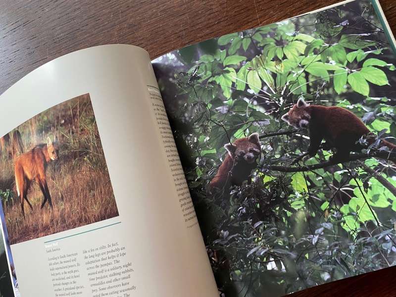 CANON Photobook, Wildlife as Canon sees it. 1988, National Geographic , Photographer Selection, rare