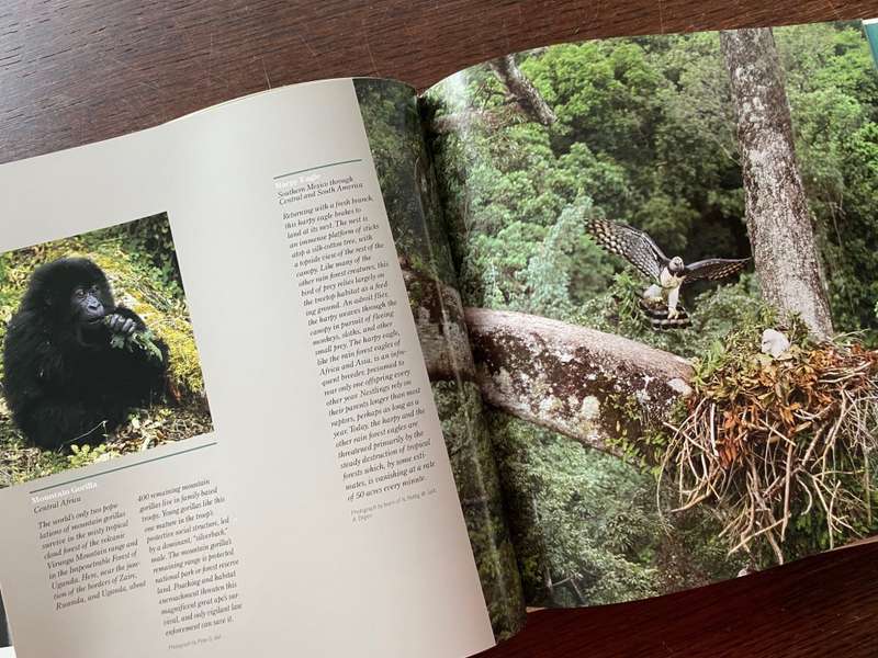 CANON Photobook, Wildlife as Canon sees it. 1988, National Geographic , Photographer Selection, rare