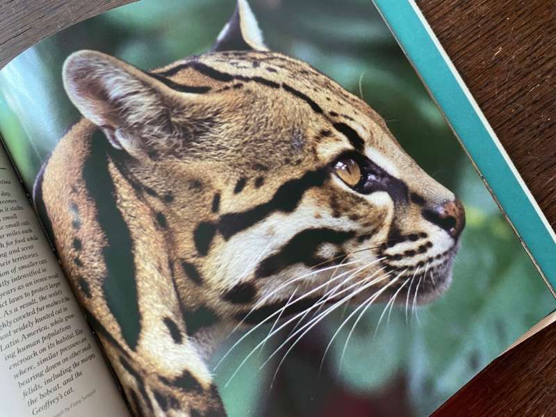 CANON Photobook, Wildlife as Canon sees it. 1988, National Geographic , Photographer Selection, rare
