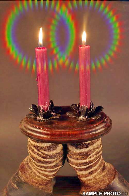 HARTMANNS ZEBRA CANDLE HOLDER ,COLLECTORS ITEM