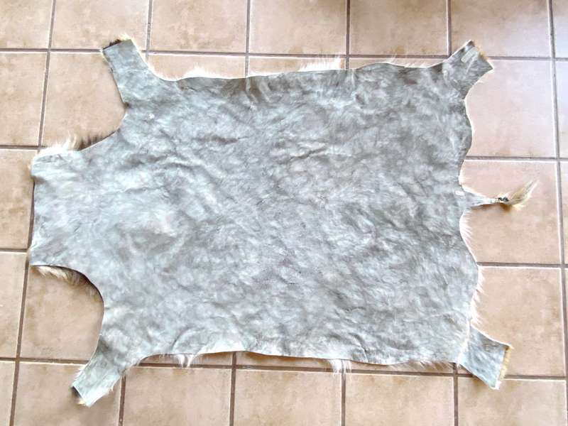 animal skin , lechwe skin lot 2, approx.size:  1.60m x 1.20m, professional skined and tanned, hunt