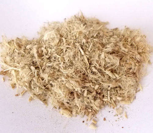 Dried Herbs: Marshmallow root - Althaea Officinalis - 50g / 1,76 oz root