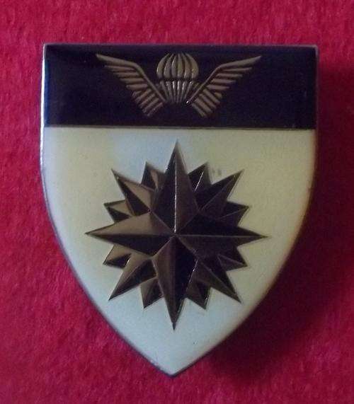 4 RECONNAISSANCE COMMANDO ~ METAL SHOULDER FLASH *3PINS*