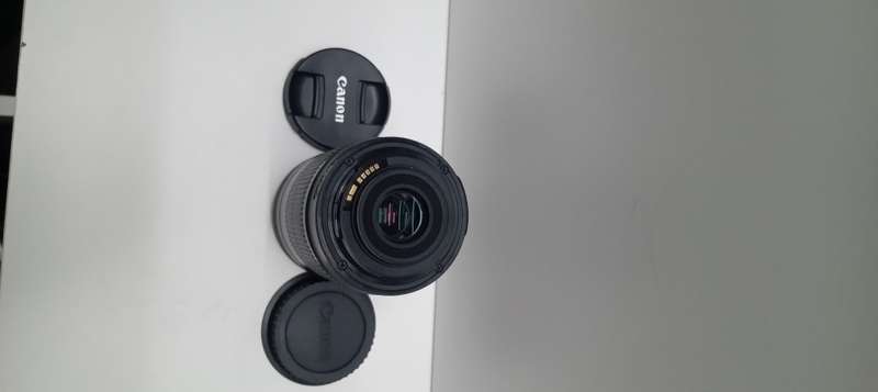 Canon EF 55-250mm STM with image stabilizer