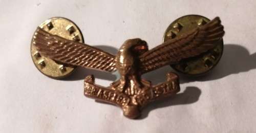 SA Airforce wings