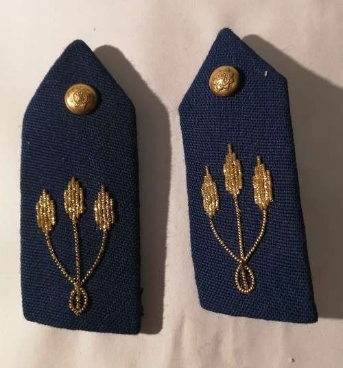 SAP Gorget Patches set