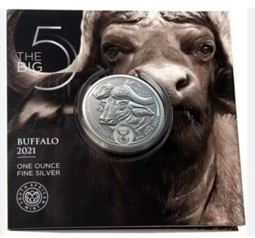 BIG 5 SERIES BUFFALO COIN