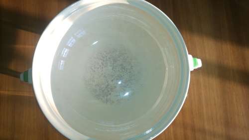 Art Deco Dish