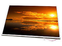 REDUCED!!! 17" WSXGA+ 1680x1050 LCD Panel - LP171WE2 LG Phillips Laptop Laptops Hp Toshiba Pavilion