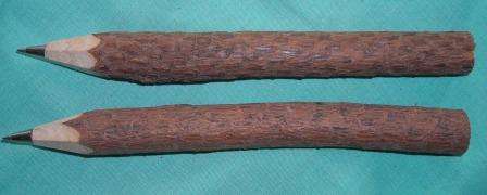 Crafty Stuff: Cute Wooden TWIG Pen.... Decorate or use as is!
