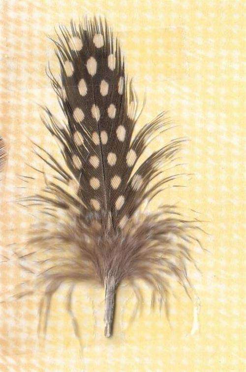 Crafty Stuff: Guinea Fowl Feathers Naturalx10
