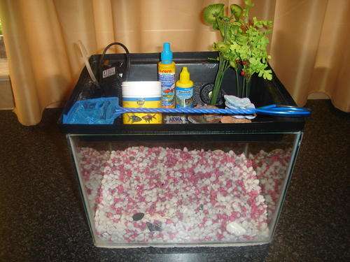 FISH TANK + ACCESSORIES