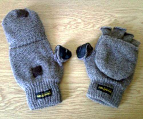 Thinsulate Gloves
