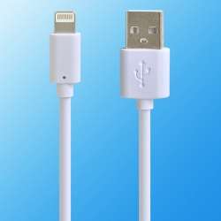 8 Pin USB Lightning Cable for iPhone 5 / iPad Mini / iPad Air - iOS 7.1