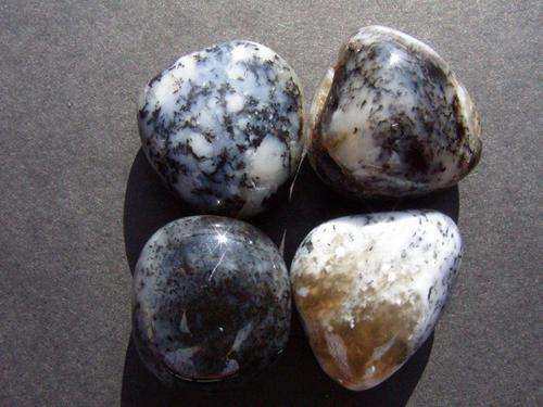 4 X Denditric Opal Tumbled