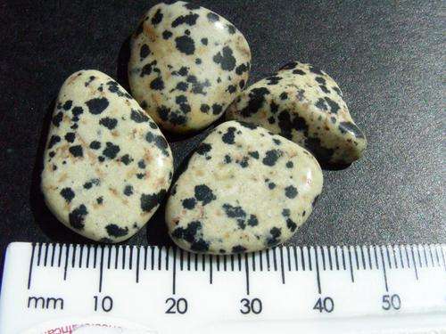 4 X Dalmation Stone Tumbled
