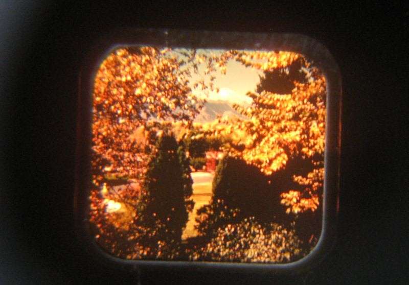A VERY COOL VINTAGE 1950`S "SAWYERS VIEW - MASTER" LIGHTED STEREO VIEWER WITH TWO REELS...WORKING !!