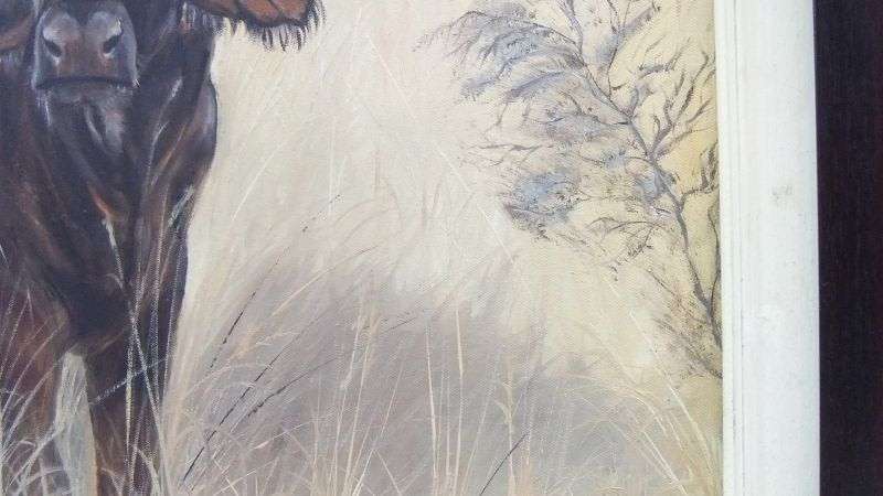 WOW !! A WELL PAINTED ORIGINAL OIL ON BOARD OF AN AFRICAN BUFFALO SIGNED ""JAMPIE"" BY THE ARTIST