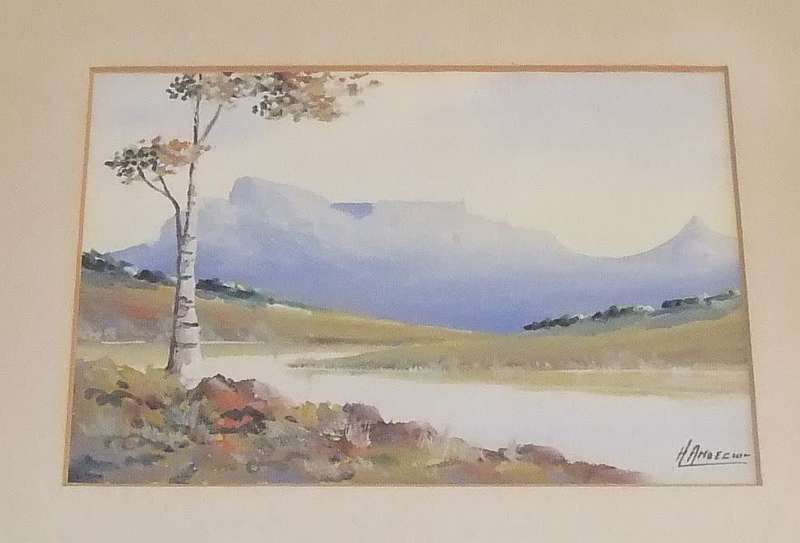 An original watercolour painting by SA artist H. Anderson