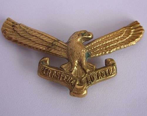 OLD SA AIRFORCE BADGE