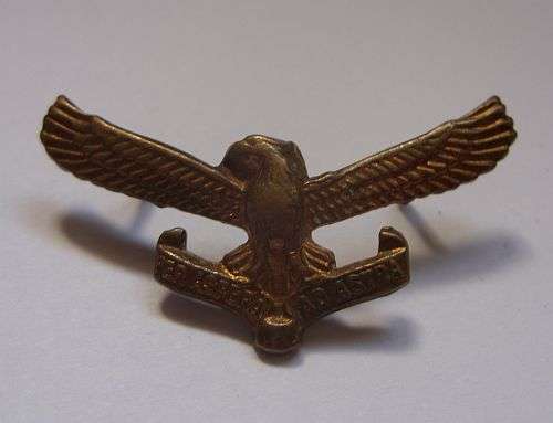 OLD SA AIRFORCE BADGE