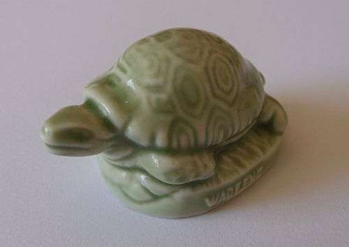 WADE - GREEN TURTLE