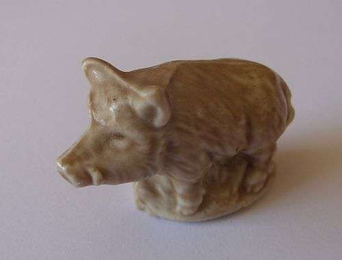 WADE - WILD BOAR