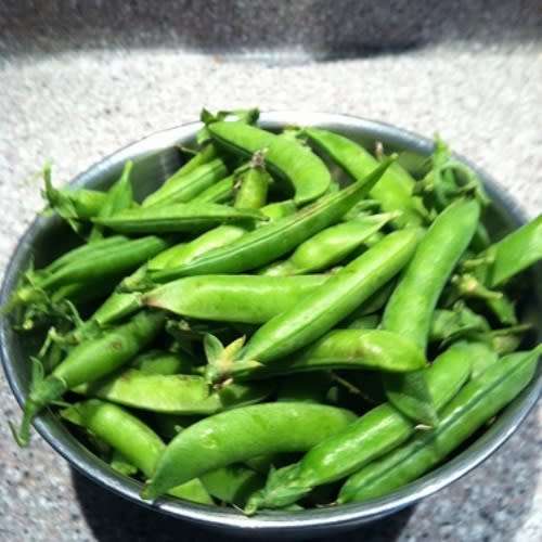 Peas "Greenfeast"