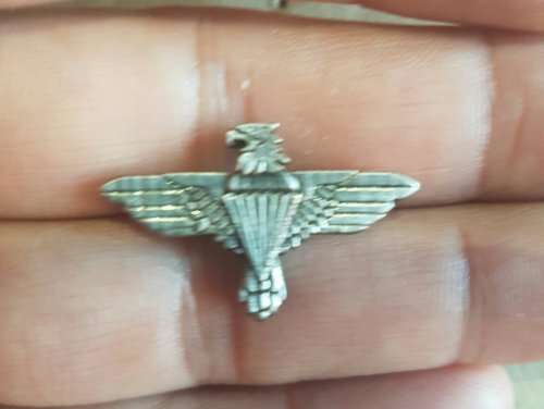 small 2.3 cm by 1.5 cm Aftermarket 44 parachute Brigade badge