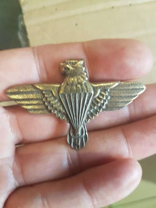 small 5.5 cm by 4 cm Aftermarket 44 parachute Brigade badge has pins