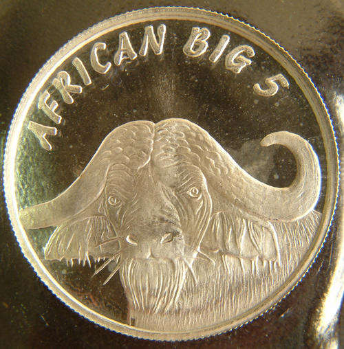 Buffalo