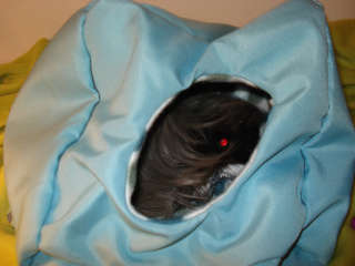 Rat Blue Snooze Cube - 20cm