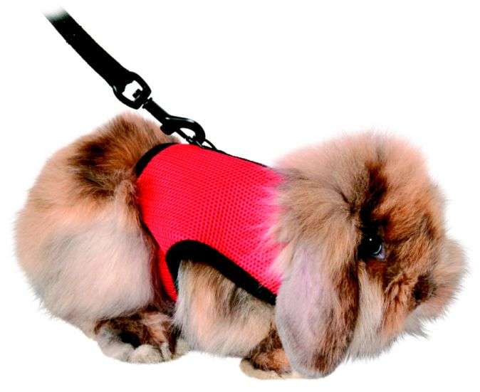 Soft Harness for Guinea Pigs Pink