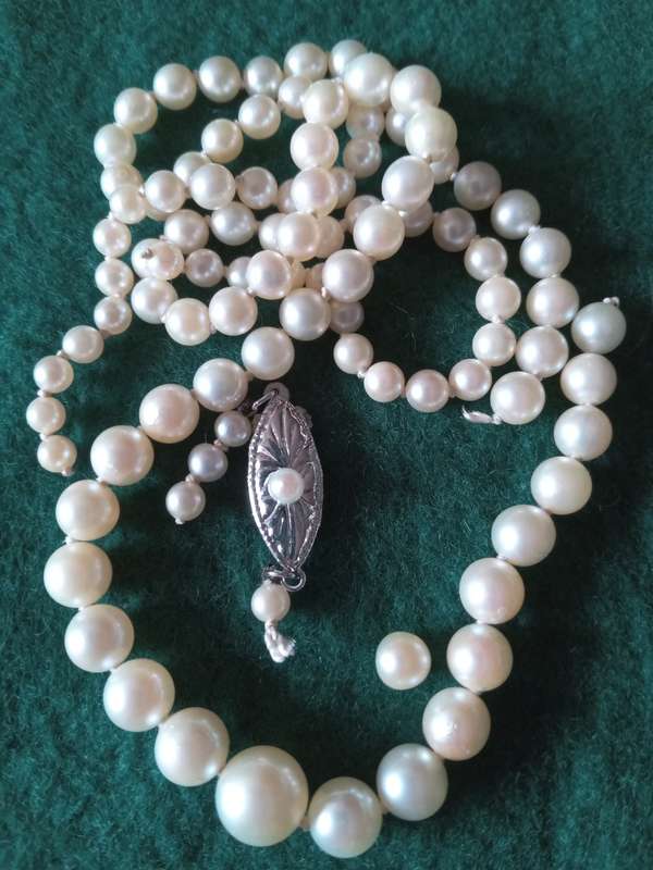 String Of Graduating Cultured Sea Pearl Necklace - (99 Beads - 7mm-2.5mm) - Needs to be restrung